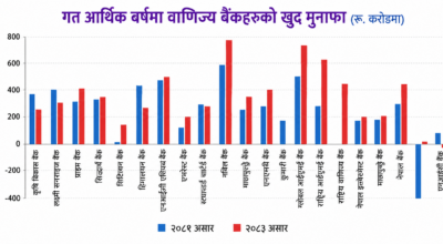 वाणिज्य बैंकहरूको नाफामा उत्साहजनक सुधार, कसले कति कमाए ?